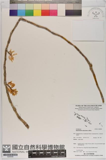 登錄號:S200056藏品圖，第1張