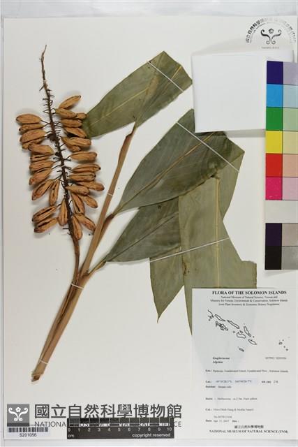 登錄號:S201056藏品圖，第1張