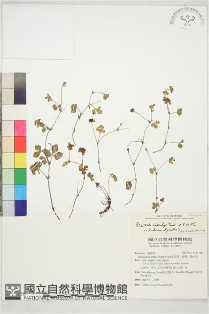 登錄號:S131756藏品圖，第1張