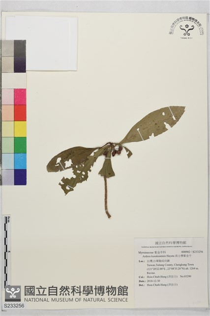 高士佛紫金牛藏品圖，第1張