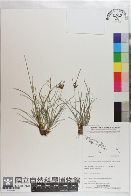 登錄號:S203456藏品圖，第1張