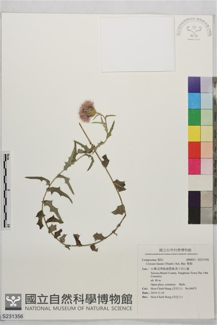 華薊藏品圖，第1張