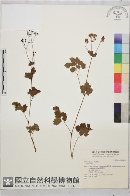 登錄號:S034856藏品圖，第1張