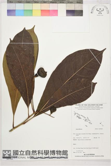 登錄號:S207856藏品圖，第1張