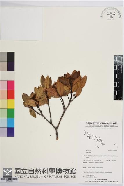 登錄號:S195696藏品圖，第1張