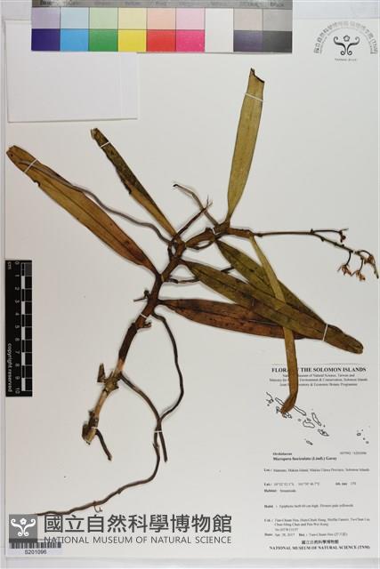 登錄號:S201096藏品圖，第1張