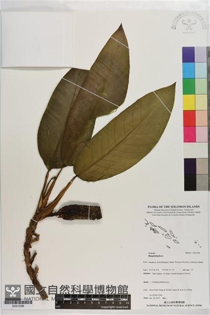 登錄號:S201296藏品圖，第1張