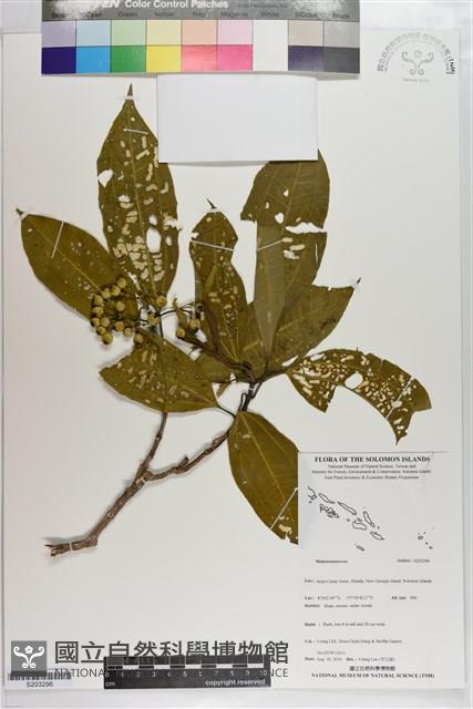 登錄號:S203296藏品圖，第1張