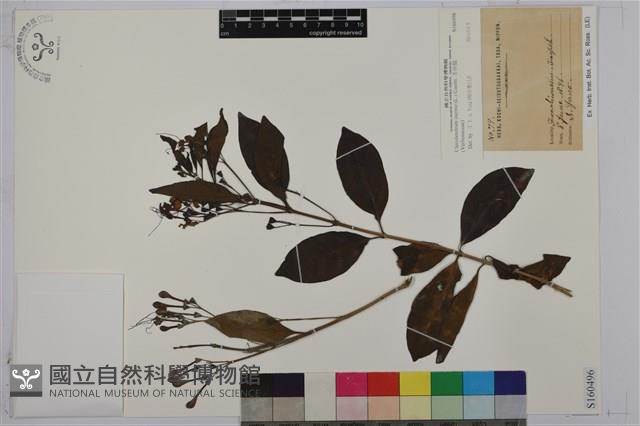 苦林盤藏品圖，第1張