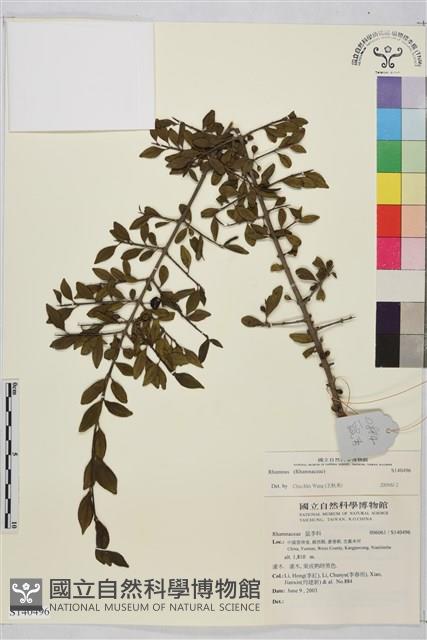 登錄號:S140496藏品圖，第1張