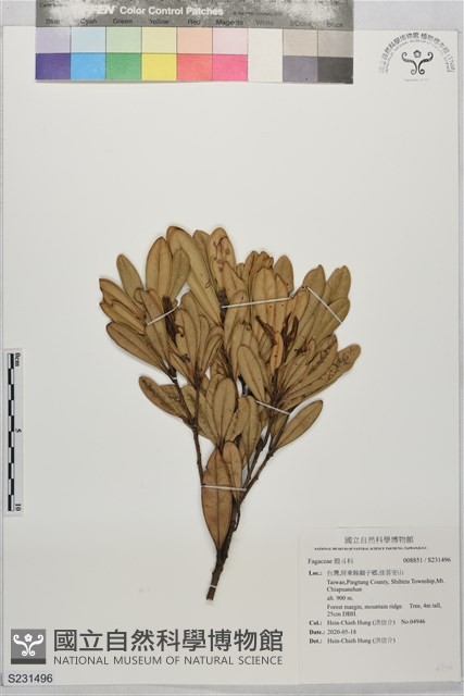 登錄號:S231496藏品圖，第1張
