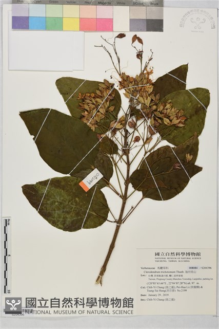 海州常山藏品圖，第1張