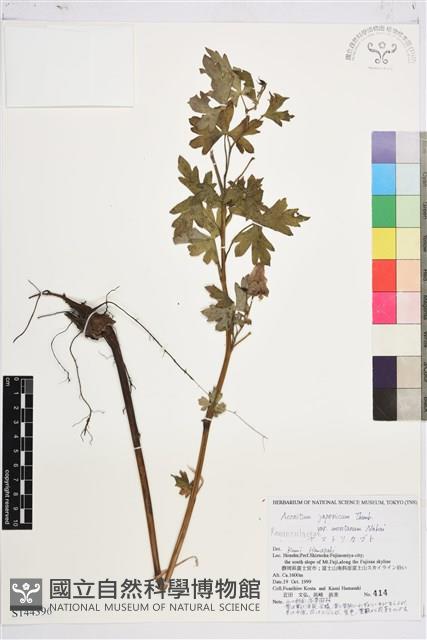 登錄號:S144396藏品圖，第1張