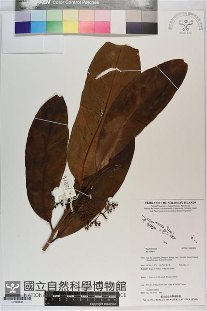 登錄號:S200896藏品圖，第1張