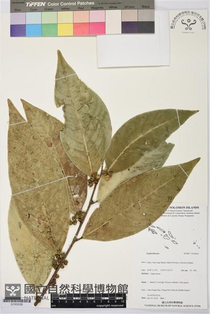 登錄號:S195636藏品圖，第1張