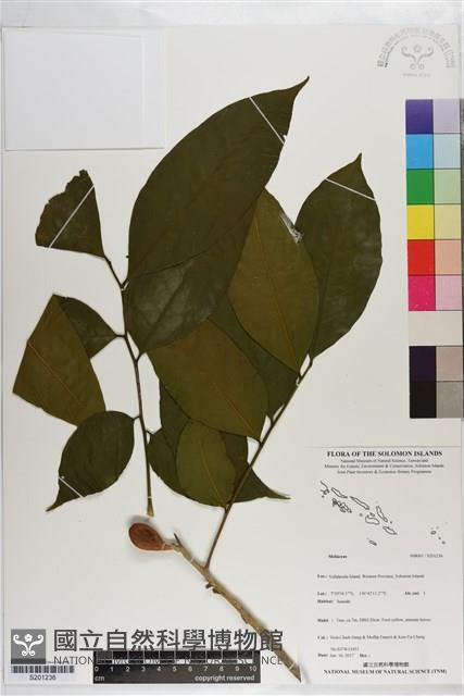 登錄號:S201236藏品圖，第1張