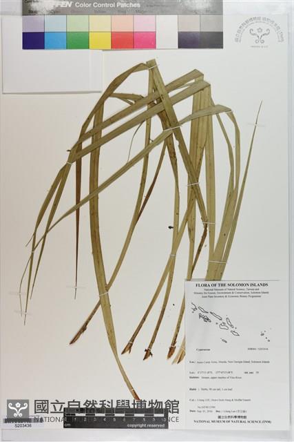 登錄號:S203436藏品圖，第1張