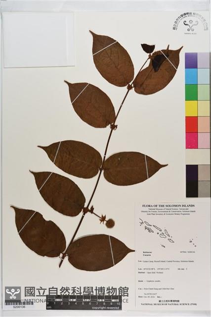 登錄號:S200136藏品圖，第1張