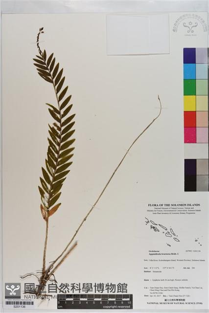 登錄號:S201136藏品圖，第1張