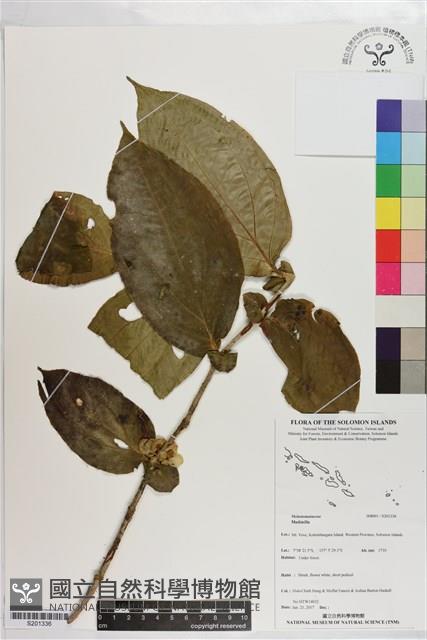 登錄號:S201336藏品圖，第1張