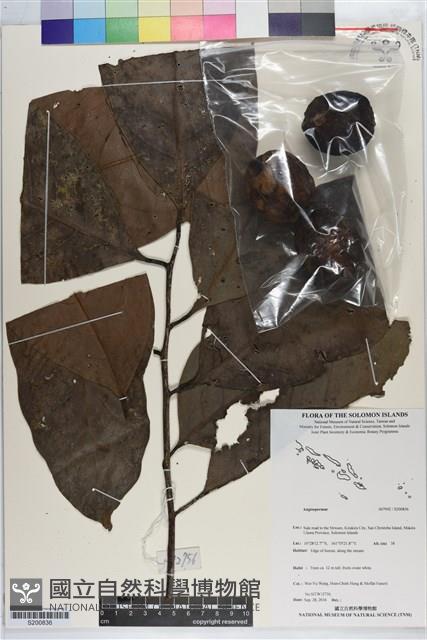 登錄號:S200836藏品圖，第1張