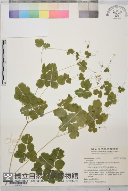 登錄號:S190936藏品圖，第1張