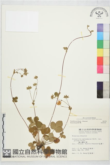 登錄號:S011536藏品圖，第2張