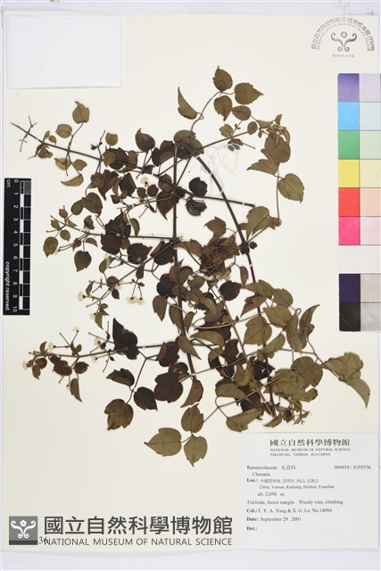 登錄號:S105536藏品圖，第1張