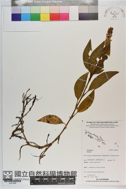 登錄號:S201066藏品圖，第1張