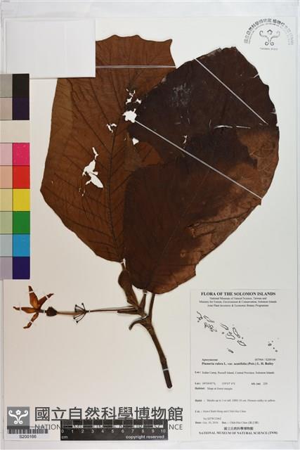 登錄號:S200166藏品圖，第1張