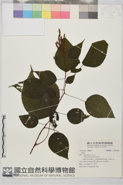 登錄號:S204366藏品圖，第1張