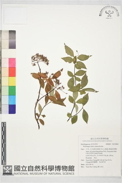 登錄號:S232866藏品圖，第1張