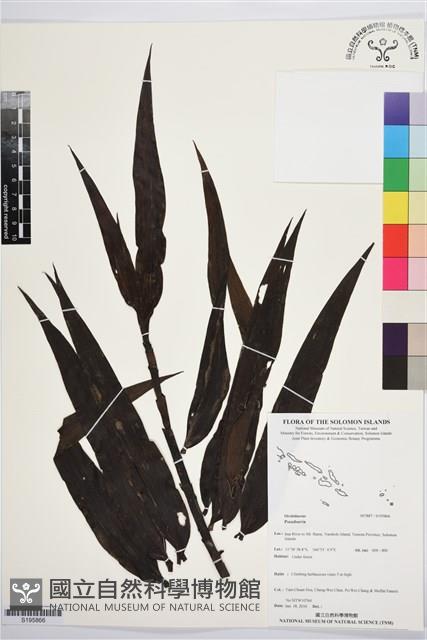 登錄號:S195866藏品圖，第1張