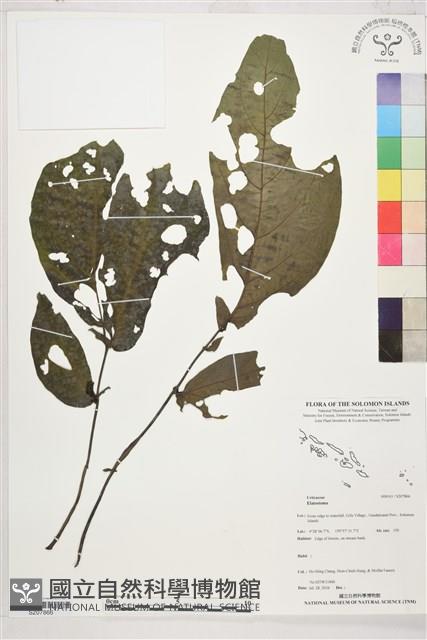 登錄號:S207866藏品圖，第1張