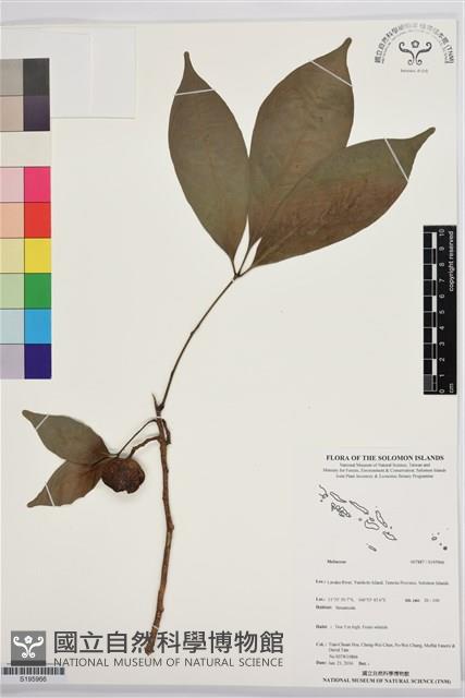 登錄號:S195966藏品圖，第1張