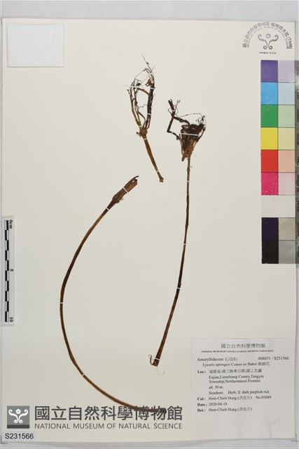 換錦花藏品圖，第1張