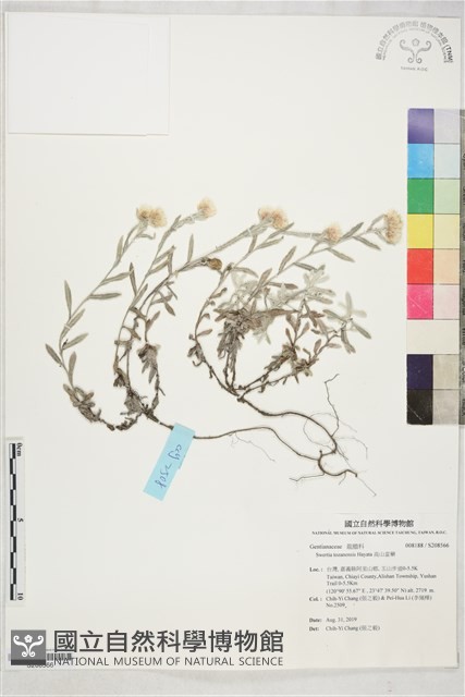 高山當藥藏品圖，第1張