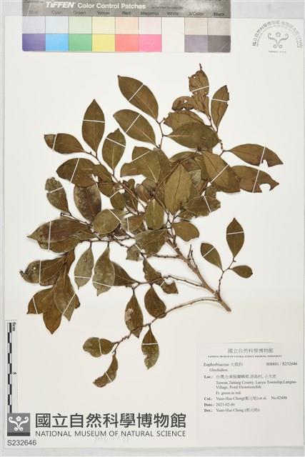 登錄號:S232646藏品圖，第1張