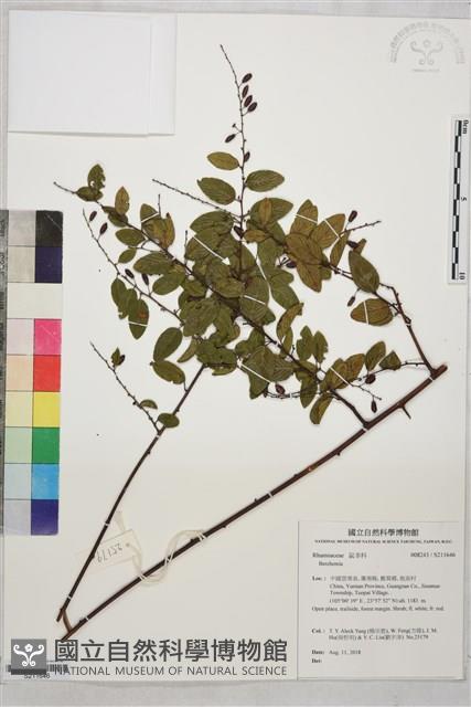 登錄號:S211646藏品圖，第1張