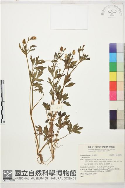 登錄號:S152046藏品圖，第1張