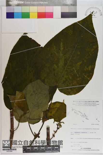 登錄號:S201046藏品圖，第1張