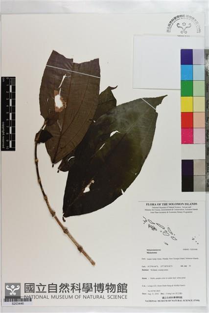 登錄號:S203446藏品圖，第1張