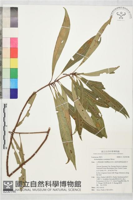 登錄號:S230146藏品圖，第1張