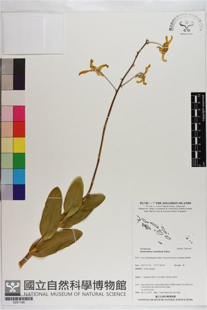 登錄號:S201146藏品圖，第1張