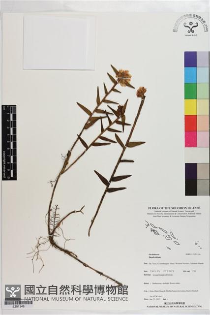 登錄號:S201346藏品圖，第1張