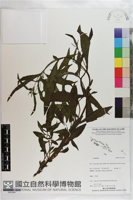 登錄號:S203346藏品圖，第1張