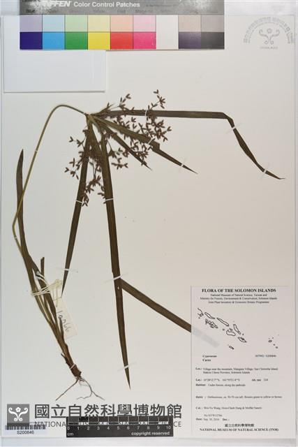 登錄號:S200846藏品圖，第1張