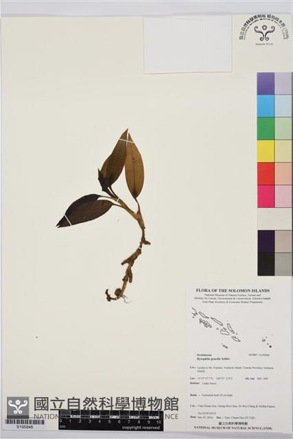 登錄號:S195846藏品圖，第1張