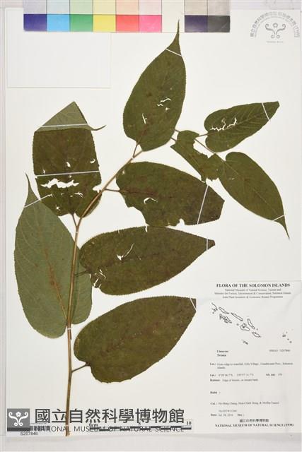 登錄號:S207846藏品圖，第1張