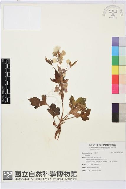 登錄號:S096946藏品圖，第1張